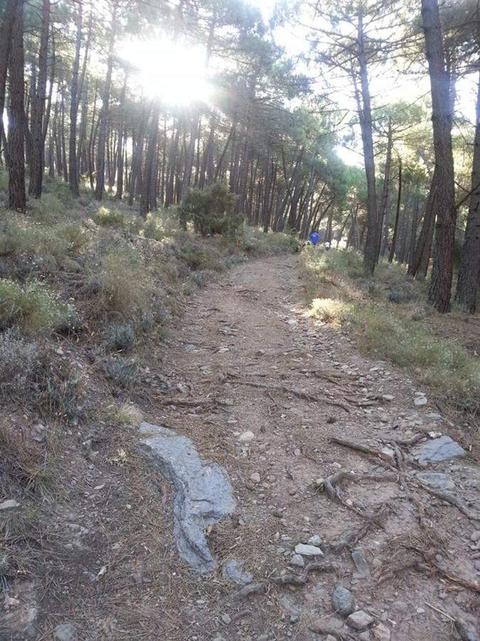 Green Peaks B&B Country House Alojamiento Rural Cortijo de Balsain Extérieur photo