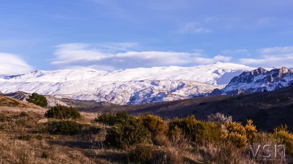 Green Peaks B&B Country House Alojamiento Rural Cortijo de Balsain Extérieur photo